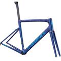 SPECIALIZED (スペシャライズド) 2019 S-WORKS TARMAC ﾌﾚｰﾑ