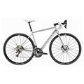 CANYON (キャニオン) 2020モデル ENDURACE WMN AL DISC 6.0 Tiagra DB シルバー