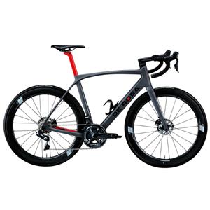 DE ROSA (デローザ) IDOL Disc マットグレー 51サイズ フレームセット メイン