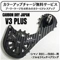 新品)Carbon Dry Japan（カーボンドライジャパン） ビッグ