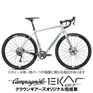 NINER RLT9 RDO AVALANCHE GREY EKAR GT 1x13S グラベルロードバイク