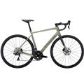 TREK (トレック) 2024モデル Domane AL 5 Disc GEN4 R7120 グリーン
