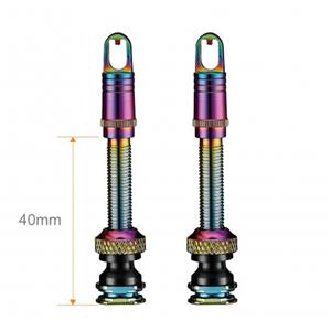 Valve Stem 40mm Rainbow チューブレスバルブ