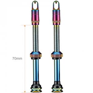 Valve Stem 70mm Rainbow チューブレスバルブ