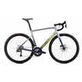 SPECIALIZED (スペシャライズド) 2020モデル Tarmac SL6 Disc Expert R8070 DB グレー