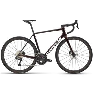 2024 R5 Disc ULTEGRA R8170 Di2 12S サイズ48 OxBlood ロードバイク