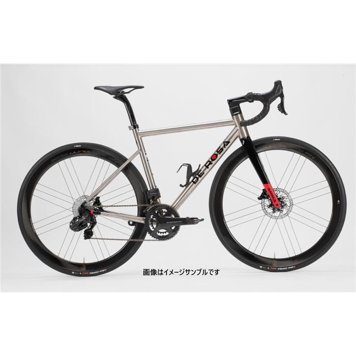 DE ROSA (デローザ) 2022モデル ANIMA DISK フレームセット DB シルバー